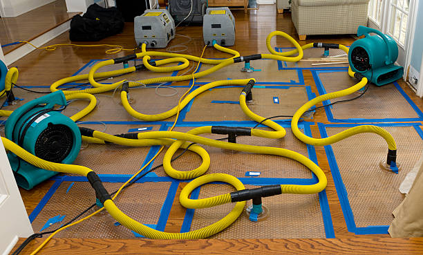Professional Burst Pipe Water Damage technician working in Mishicot, WI